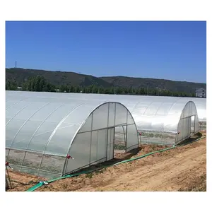 Заводская цена, теплица с одним пролетным солнечным светом, зимняя теплица, теплица 100 метров для томатов