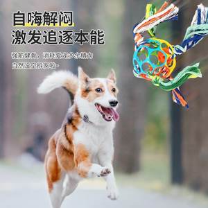 Nouveau son pour animaux de compagnie ballon de football en caoutchouc souple nettoyage des dents jouet à mâcher multifonctionnel pour chien - Product Image 3