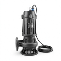 Pompe submersible anti-colmatage WQ QW en fonte et acier inoxydable SS316 0,75-200 kW pour eaux usées municipales et industrielles