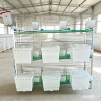 Cage à lapins personnalisable à 9 compartiments avec fil galvanisé à chaud pour l'élevage de lapins bébés