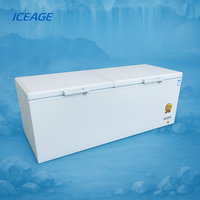 Congélateur Commercial et Domestique 150L 250L 350L, Petit Réfrigérateur-Congélateur à Double Usage, Froid Ventilé Sans Givre