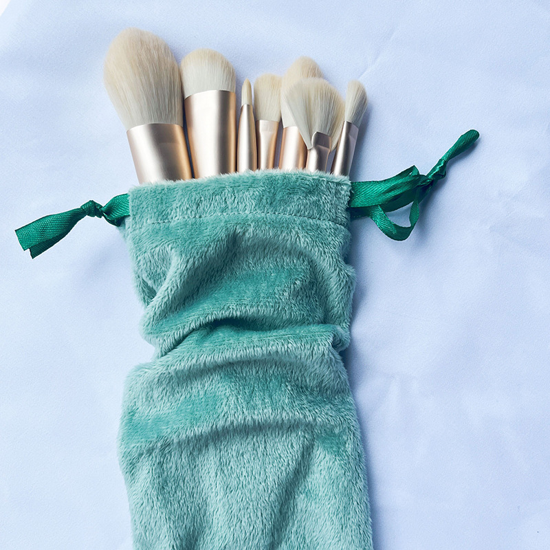 10 pieces of Blue brushes + fleece bag