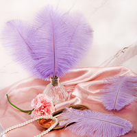 Décoration de mariage Yolan Home avec plumes d'autruche teintées 14-22 pouces, couleurs naturelles, design personnalisé pour une utilisation en festival