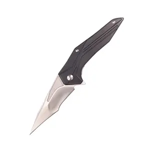 Thép không gỉ ngoài trời gấp Pocket Knife cho cắm trại và hàng ngày Carry (EDC)