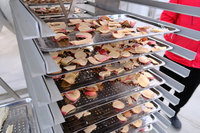 TCA Groenten en Fruit Automatische Vriesdroogmachine/vriesdroger Prijs/vriesdroogmachine Industriële Vriesdrooginstallatie