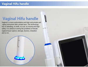 Portable 4D <strong>High</strong> <strong>Intensity</strong> <strong>Focused</strong> <strong>Ultrasound</strong> Anti-Aging 4in1 Facial Lifting <strong>Hifu</strong> Cartridges Skin Tightening Vaginal Tightening - Product Image 4