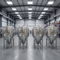 Fermenteur conique Cassman 500L, cuves de fermentation de bière avec enveloppe de refroidissement CCT, SUS304 avec couche d'isolation