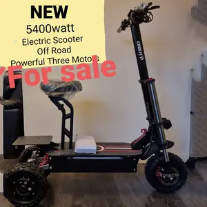 CE akıllı traktör elektrikli scooter 3000w 5000w 3 motorlar elektrikli denge scooter'ı motosiklet 11 inç kapalı yol yağ lastik