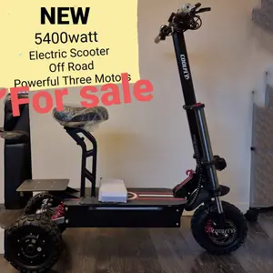 CE Smart Traktor Elektro roller 3000w 5000w 3 Motoren Elektro waage Roller Motorrad mit 11 Zoll Offroad Fett reifen