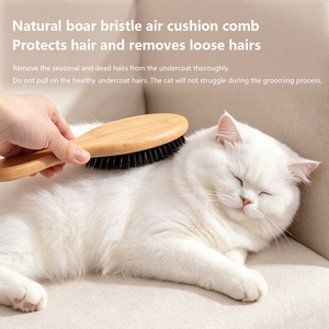 Ensemble de brosses pour animaux 2026 avec sac de rangement – Outils de toilettage pour le nettoyage des poils, brosses anti-poils pour chats et chiens - Product Image 2