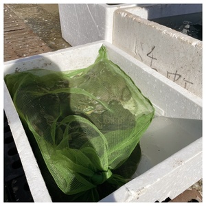Bolsa de malla <span class=keywords><strong>Bullfrog</strong></span> para transporte y embalaje Protección duradera para un envío y almacenamiento seguros - Product Image 2