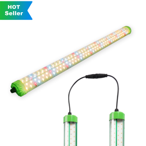 หลอดไฟปลูกต้นไม้ในร่มแบบปรับแต่งได้ LED T6 T8 สเปกตรัมเต็มรูปแบบ ปรับความสว่างได้ สำหรับปลูกผัก ดอกไม้ และสมุนไพร - Product Image 5