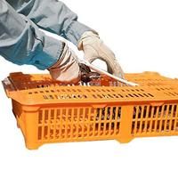 Caisse de transport pour cailles en plastique, cage de transport pour volailles, boîte à cailles
