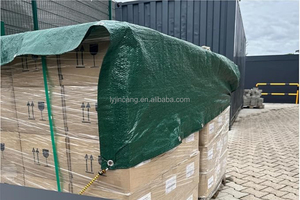 Fábrica Direta Alta Qualidade Pe Telhado Tarpaulin Container Capa Canvas Cobrindo - Product Image 6
