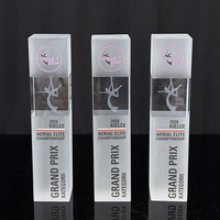 Récompenses de trophée de bloc de cristal givré de nouvelle conception