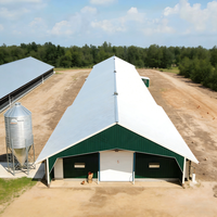 Poulailler économique en structure métallique, hangar préfabriqué pour bétail, élevage avicole à grande échelle