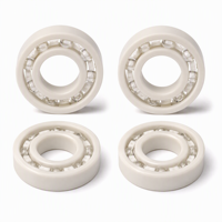 Roulement à billes ouvert en plastique 6005 25x47x12mm avec anneaux en POM, billes en verre et cage en nylon, léger et isolant pour applications de lavage et machines alimentaires