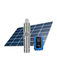 Pompe à eau solaire submersible CC 3 pouces 48V 72V 750W à haute pression pour l'approvisionnement en eau des puits profonds et des sources de montagne