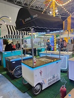 Camion de restauration mobile pliable pour marché nocturne, idéal pour les snacks, nouilles, raviolis, pains, glaces, fast-food, boissons, café – Soudure métallique hybride