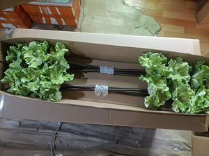 Tiges de Clivia artificielles <span class=keywords><strong>en</strong></span> PU réalistes de qualité supérieure, 70 cm de long, fausses <span class=keywords><strong>fleurs</strong></span> de lys pour la décoration intérieure moderne <span class=keywords><strong>et</strong></span> les halls d'hôtel - Product Image 6