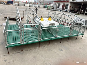 Nuovo <span class=keywords><strong>Letto</strong></span> per Parto Animale, Attrezzatura Agricola, Gabbia per Suini, Gabbia per Parto Scrofe, Tavolo Ostetrico per Suini per l'Allevamento di Suini - Product Image 5