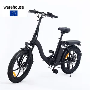 EU Warehouse Drop Ship 48V 480Wh 20 Inches Folding Mid Drive Ebike Electric Bike Alloy Frame Battery Li-ion With Suspension Fork