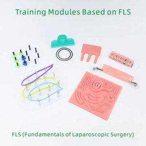 Simulador Laparoscópico Pelvitrainer de Laparoscopia con Cámara Recta Ajustable de Entrenamiento, Módulos e Instrumentos - Product Image 3