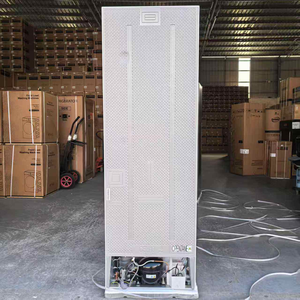 Refrigerador de 290L con Enfriamiento y Congelación sin Escarcha, Diseño de Ventilación Múltiple para Electrodomésticos, Doble Puerta - Product Image 5