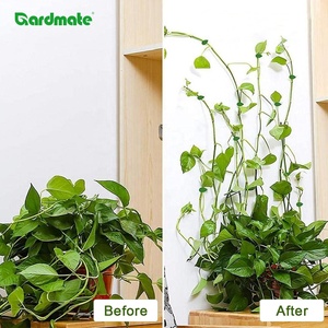 Lot de 50 attaches murales en PP pour plantes grimpantes, clips en forme de feuille vertes pour tomates et plantes rampantes - Product Image 2