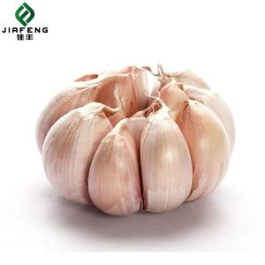 Semillas de <span class=keywords><strong>Ajo</strong></span> Frescas Orgánicas de Shandong con Piel Morada y Múltiples Capas - Product Image 5