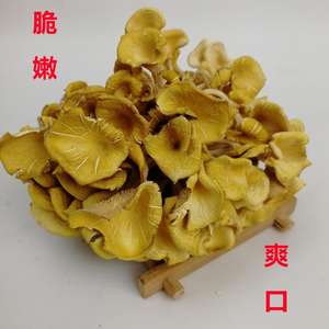 1 kg de <span class=keywords><strong>champignons</strong></span> d'huître dorés entiers crus séchés comestibles à vendre - Product Image 5