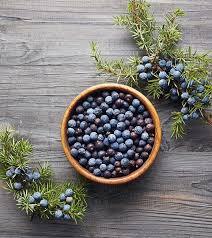 Juniperus Communis Gedroogde Eetbare Rauwe Kruiden Haubera Aaraar Zaad Hapusha Abhal Vapusha Groothandel Plant Extract Jeneverbes Bes - Product Image 3