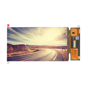 Layar AMOLED 7 Inci Resolusi FHD 1080x1920 Antarmuka MIPI(+SPI) Layar OLED dengan Sentuhan On-cell Asal Guangdong - Product Image 1