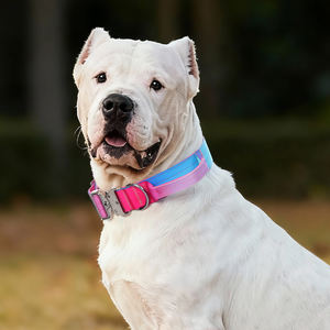 <span class=keywords><strong>Collar</strong></span> Ajustable para Perro Resistente con Hebilla de Metal, <span class=keywords><strong>Collar</strong></span> de Diseño con Nuevo Color Degradado, <span class=keywords><strong>Collar</strong></span> Táctico de Nailon para Perro - Product Image 5