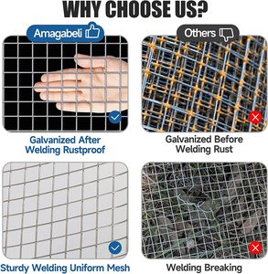 Nhà máy cung cấp mạ kẽm hàn 358 hàng rào an ninh dây sắt lưới bài hàng rào lưới mắt cáo - Product Image 2