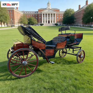 Carruaje de Caballos de Lujo para Bodas, Carruaje con Luces LED para Navidad al Aire Libre, Carruaje de Caballos para Turismo - Product Image 6