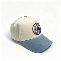 Gorra de Béisbol Personalizada con Bordado Deportivo, Logotipo, Visera de Mezclilla, Cierre a Presión, Ajustable, de Dos Tonos y Visera Curva