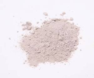 Purpureocillium Lilacinum 100 milliards UFC/g Poudre humectable Insecticide biologique Nématicide pour les nématodes à nodules raciaux, les limaces - Product Image 2