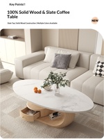 Table basse de salon moderne et minimaliste en ardoise et bois massif, style luxe léger, pour petit appartement, usage domestique, forme ovale