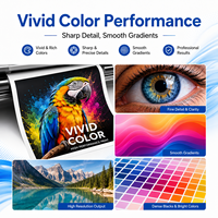 Encre éco-solvant 1L CMYK pour I3200 XP600 DX5 DX7 pour papier Blueback, affiches, panneaux publicitaires, impression numérique extérieure, jet d'encre CMYK vif et stable