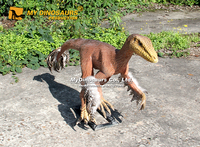 Modèle de Bambiraptor miniature grandeur nature pour parc d'attractions MY DINO AD-295