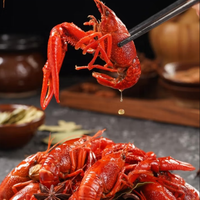 Écrevisses surgelées prêtes-à-manger en sauce épicée du Sichuan Écrevisses précuites à coque Mala IQF