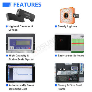 Système de tri de colis vertical en zigzag de type <span class=keywords><strong>Z</strong></span> à vitesse moyenne réglable avec une capacité de 1200 à 1500 PPH pour la logistique e-commerce - Product Image 2
