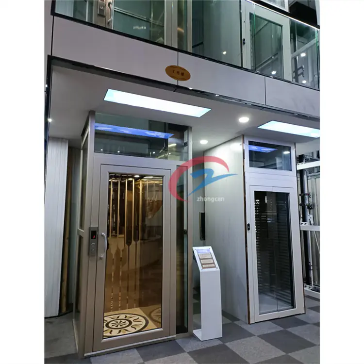 Prezzo dell'ascensore domestico del passeggero di 3-10m 2-4 su misura/ascensore residenziale dell'interno della casa della villa da vendere
