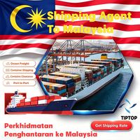 Agente de Transporte Marítimo, Malasia, Kuala Lumpur, Puerto de Penang, Empresa de Logística de Transporte Aéreo, DDP Express, Carga Aérea en Contenedor