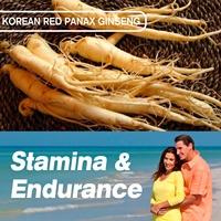 Gélules de Ginseng Rouge Panax de Corée pour Supplément d'Amélioration Masculine, Vente Chaude OEM ODM