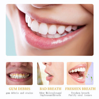 Dentifrice Herbal au Gingembre 100g Tube – Pâte Nettoyante Douce Quotidienne pour une Haleine Fraîche Longue Durée