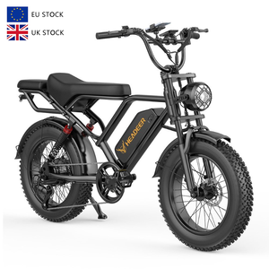 Bicicleta Eléctrica V20 Pro Fatbike de 2 Plazas, Bicicleta Eléctrica Urbana, Velo Electrique, Stock en la UE y EE. UU., Bicicleta Eléctrica de 750W - Product Image 1