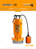 Pompe à eau submersible double usage DingQi 0,5 CV 1 CV 2 CV 2 pouces à grand débit, anti-colmatage, pour l'irrigation agricole et les eaux usées de construction