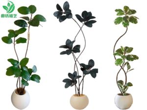 Plante <span class=keywords><strong>de</strong></span> feuillage <span class=keywords><strong>artificiel</strong></span> <span class=keywords><strong>Jumbo</strong></span> feuilles vertes réalistes Base robuste parfaite pour la maison <span class=keywords><strong>de</strong></span> bureau - Product Image 2